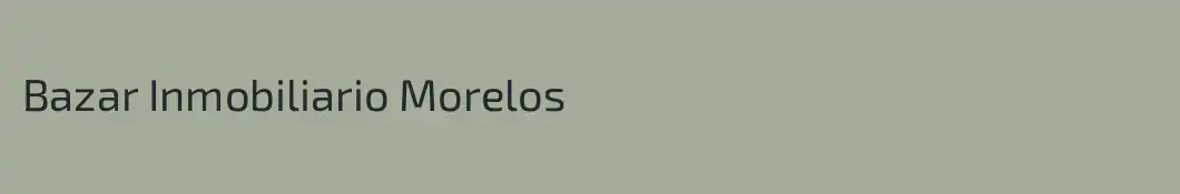 Bazar Inmobiliario Morelos